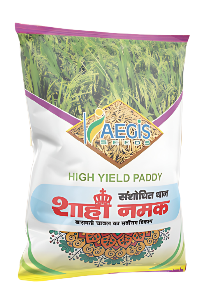 Aegis shahi namak