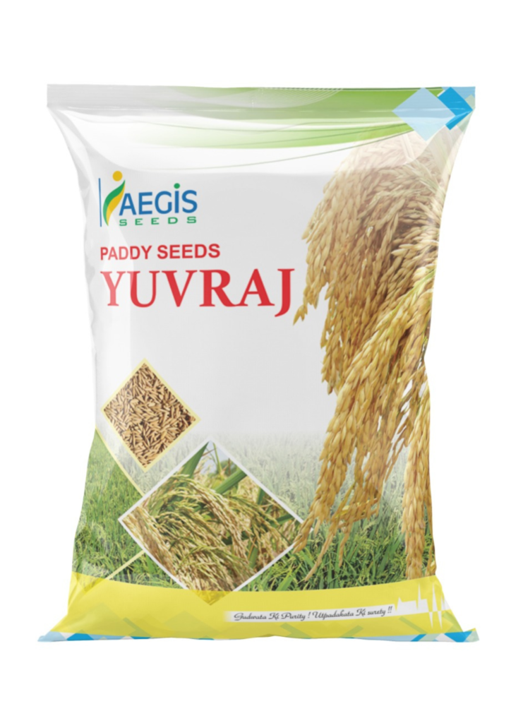 yuvraj