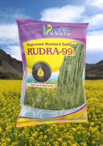 rudra-99