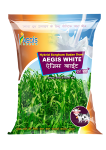 AEGIS WHITE