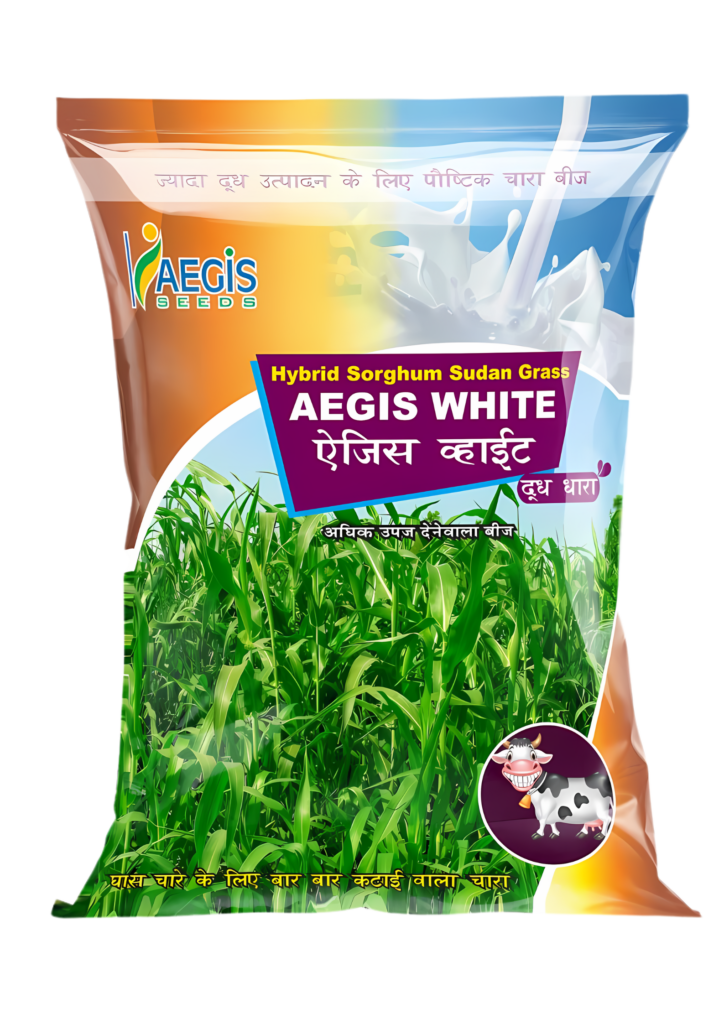 AEGIS WHITE