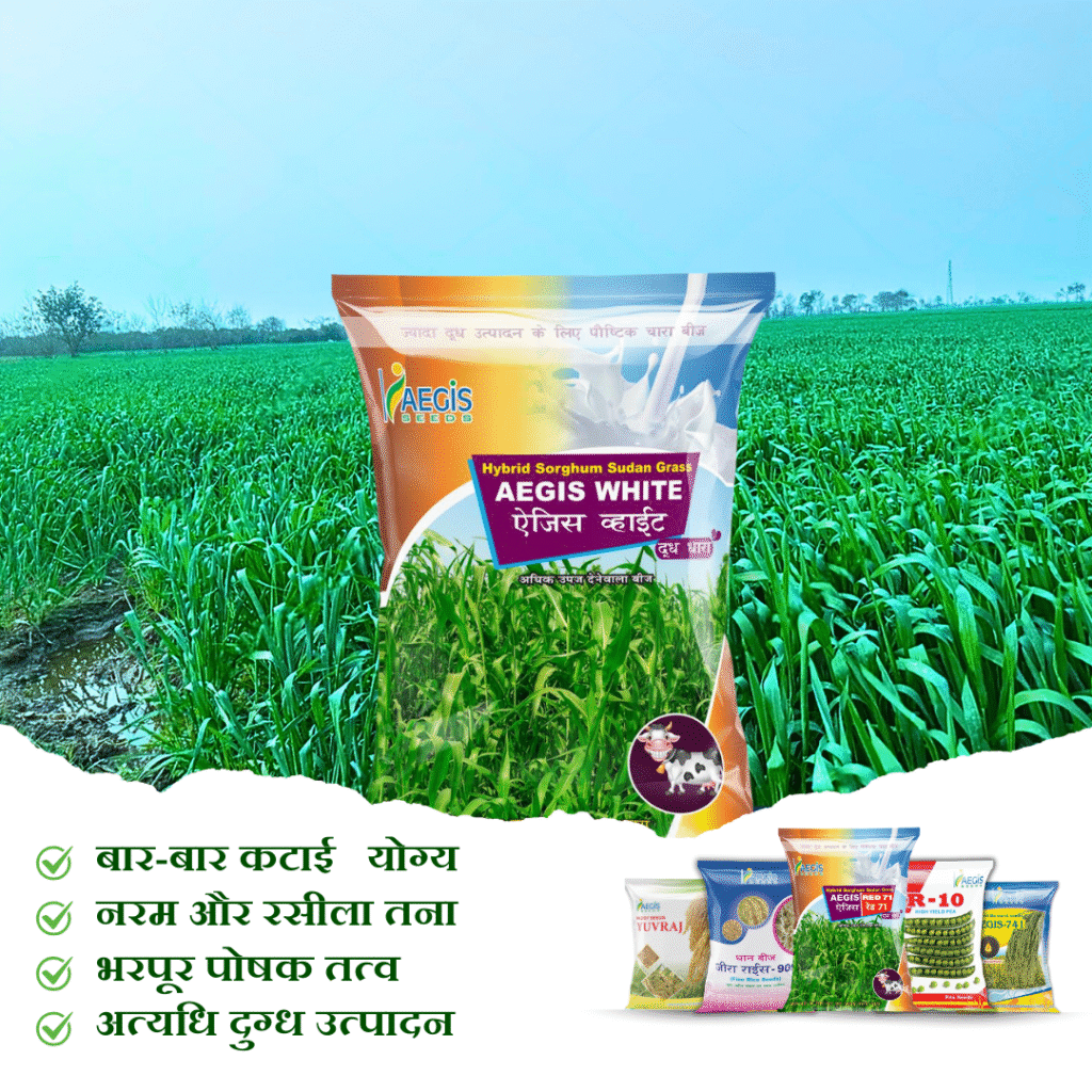 Aegis White Animal Grass Seeds