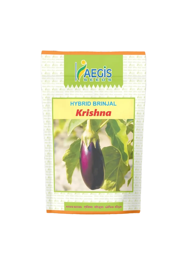 Aegis Hybrid Brinjal Krishna