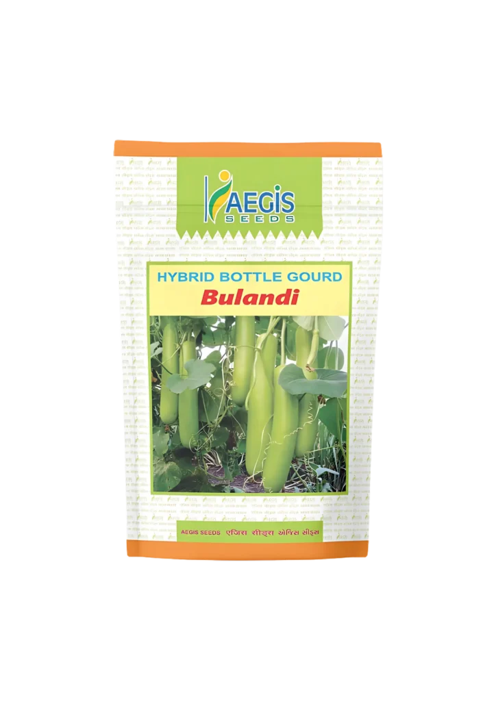 Aegis Hybrid Bottle Gourd Bulandi