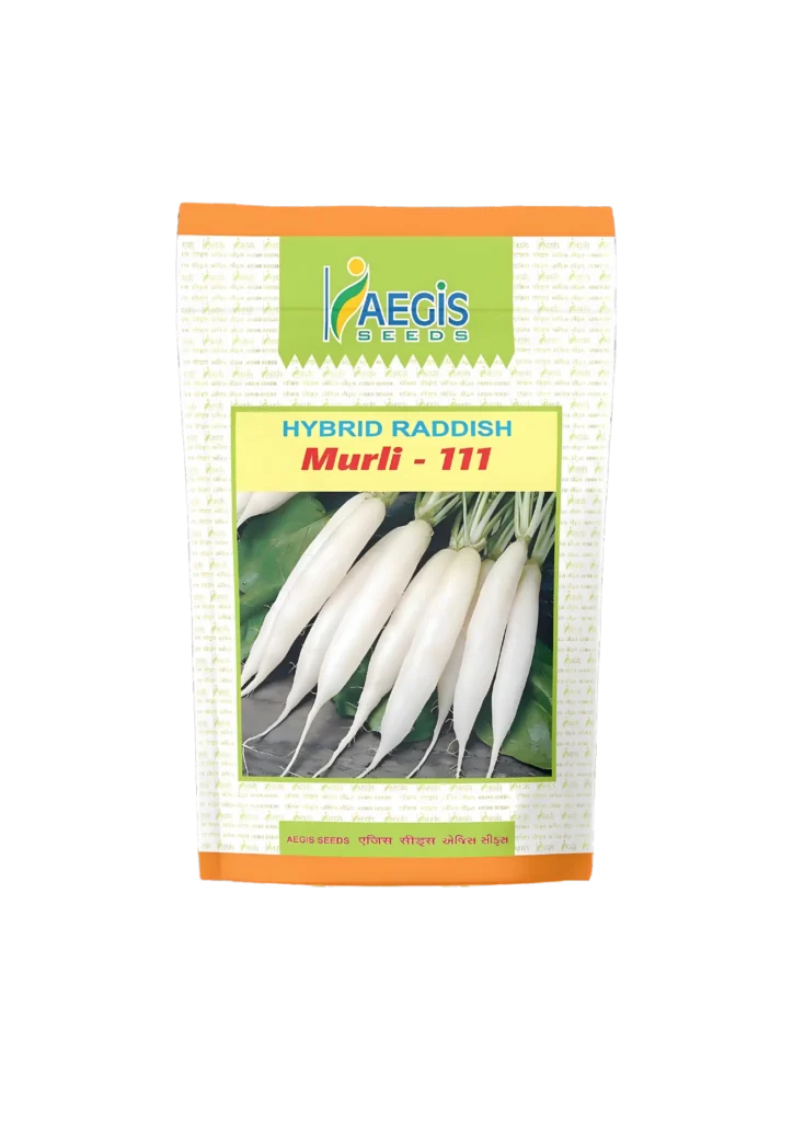 Aegis Hybrid Radish Seeds Murali-111