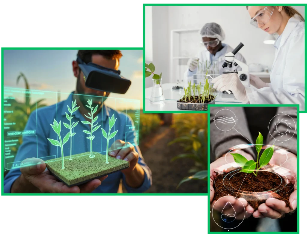 Aegis Seeds Research & Development