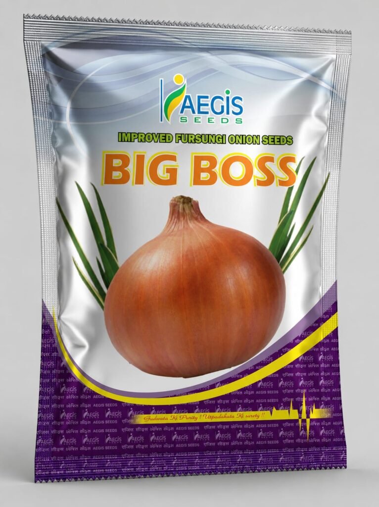 Aegis Big Boss Fursungi Onion Seeds