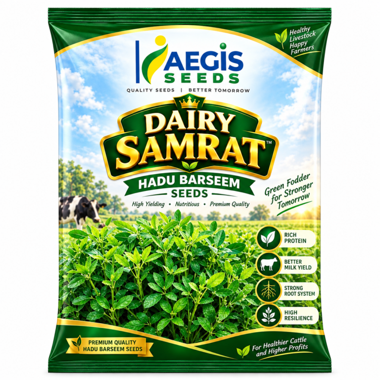 Dairy Samrat Hadu Barseem Seeds