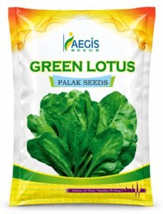 Aegis Green Lotus Palak Seeds