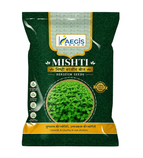 Aegis Mishti Barseem