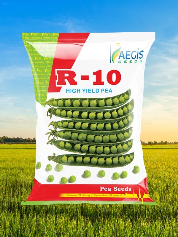 Aegis R-10 High yield Pea Seeds