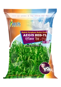 Aegis Red-71 animal grass seeds