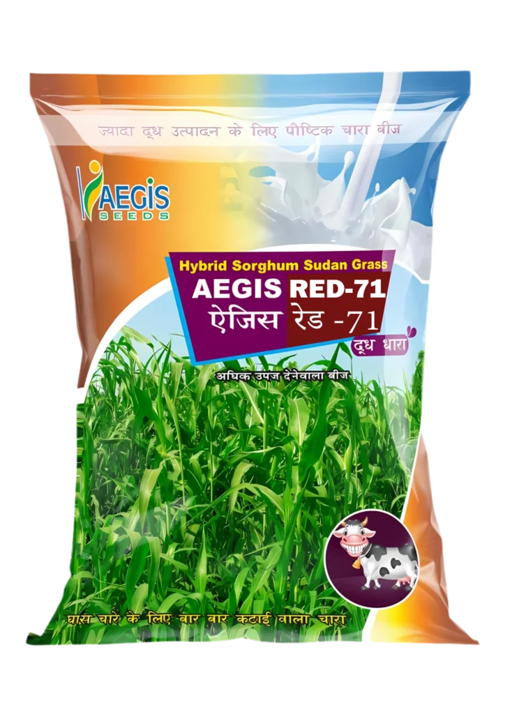 Aegis Red-71 animal grass seeds